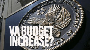 Should the VA increase its budget in coming years?