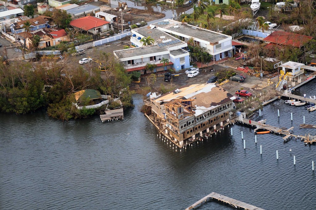 Senators want probe of firm that defaulted on FEMA contract
