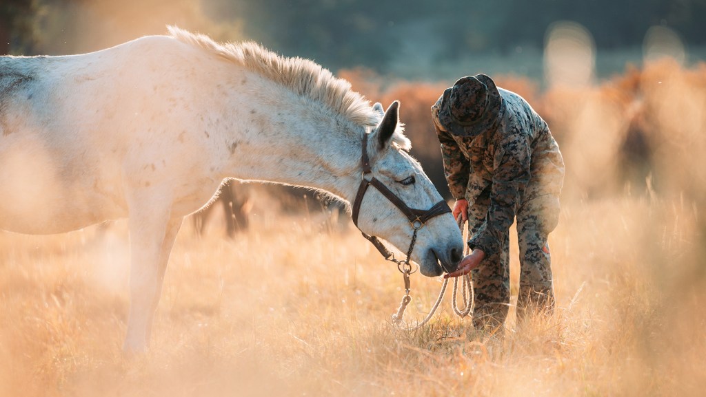 Best pics of the week: Oct. 18, 2020