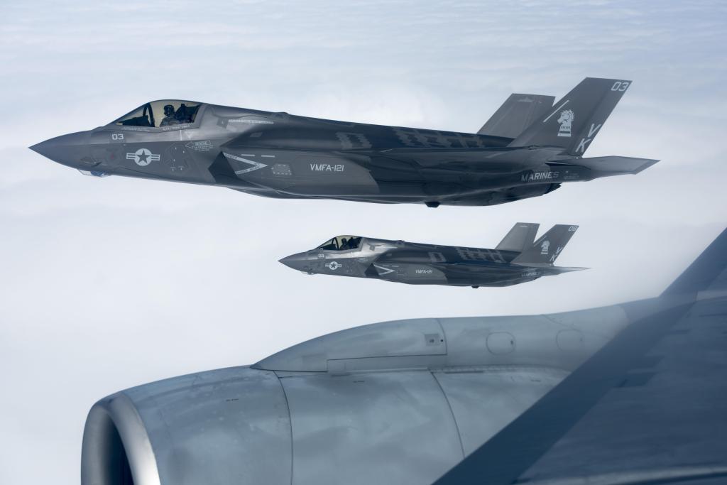 Bird strike causes more than $2 million in damages to Japan-based Marine Corps F-35B