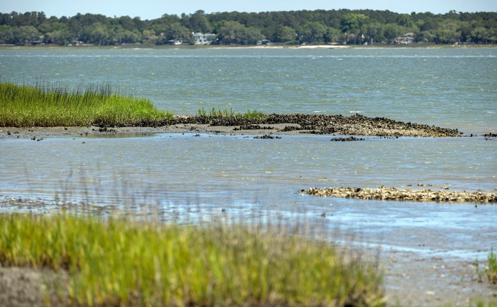 Will a $1M oyster-shell plan stop this Marine base from flooding?