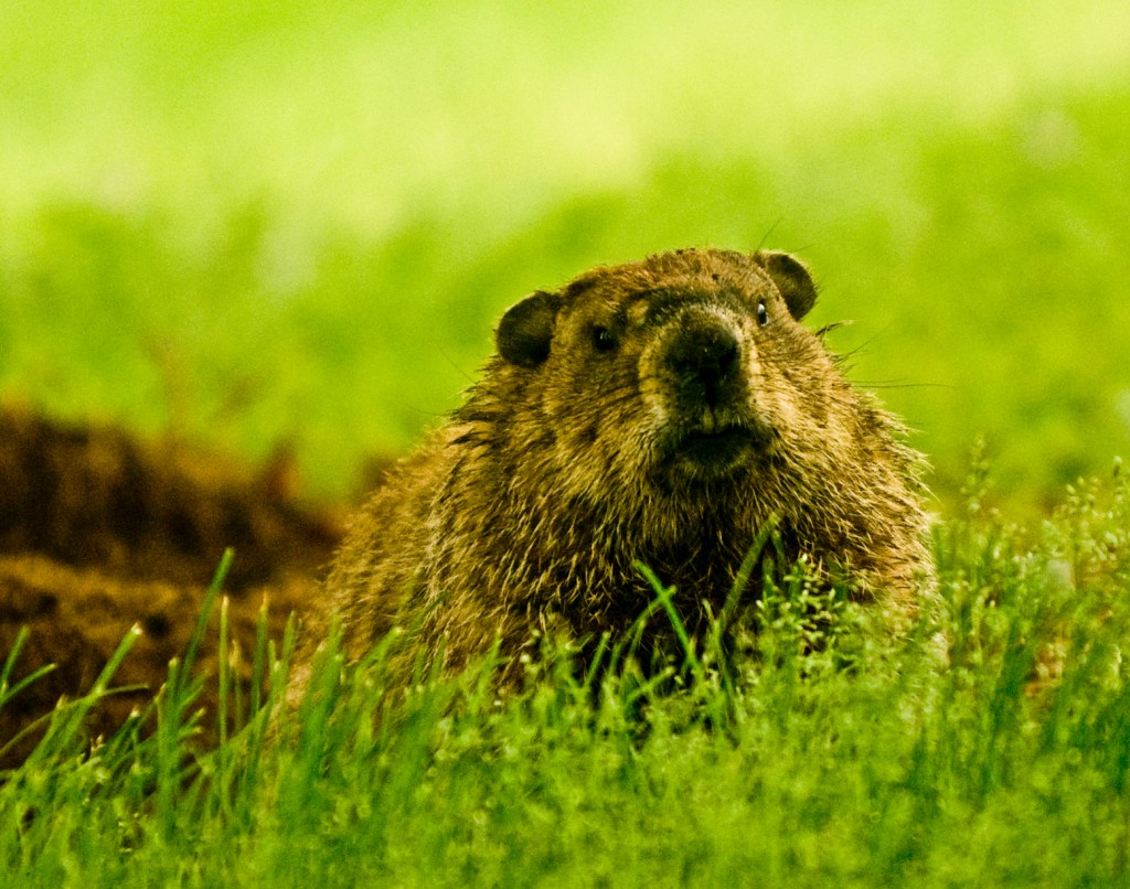 Why every day can feel like ‘Groundhog Day’ in the military