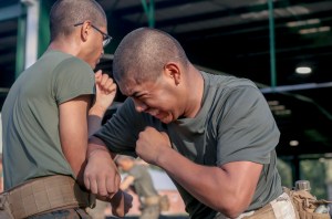 Changes to Marine Corps Martial Arts Program bring rank restriction for brown and black belts