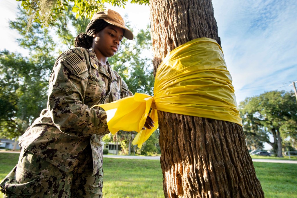 Military suicides went down in the last year, but 2020 may end up reversing that trend