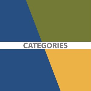 What do the Vanguard Awards honor?