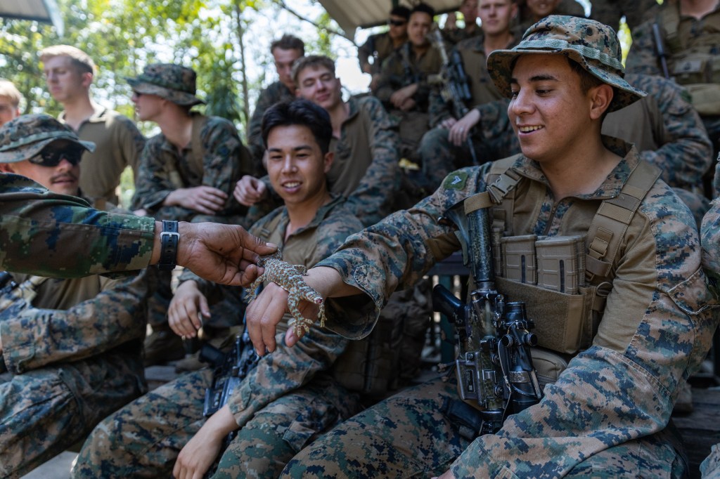 An enduring symbol: why troops keep naming things after reptiles