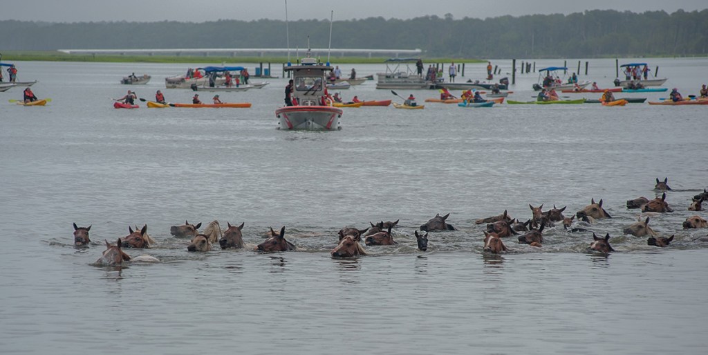 With the Coasties of Chincoteague — boats, ponies and lots of rain