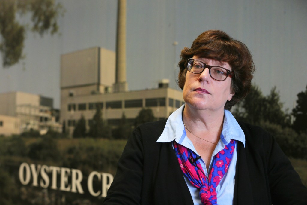 Questions surround nuclear plants’ cybersecurity amid hacks