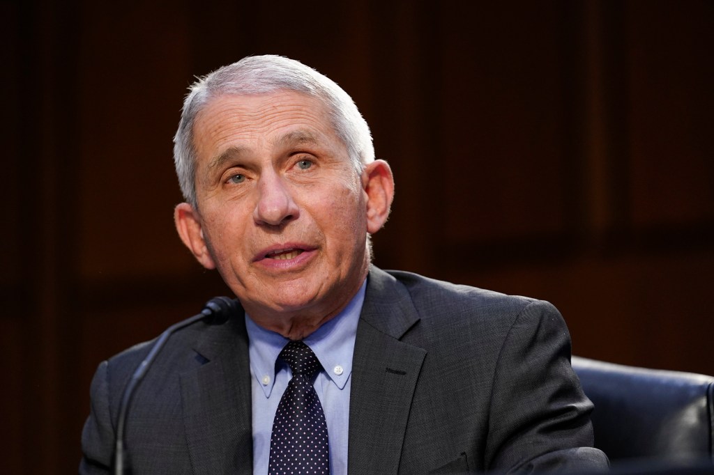 The ‘Fire Fauci Act’? Here’s what QAnon’s favorite Republican doesn’t understand about federal employment law