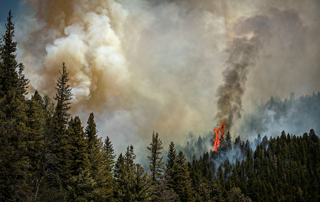 US Forest Service sued over largest wildfire in New Mexico history