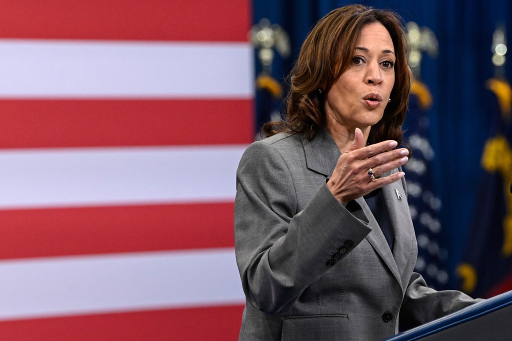 Can the federal government be a standard bearer for responsible AI?