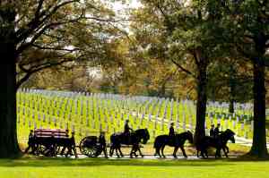 Army will end most of its ceremonial horse programs