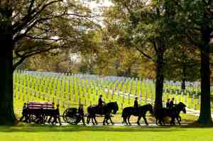 Army’s Old Guard horses suffer poor living conditions, report finds after 2 died