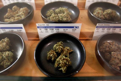 As the Army modernizes its standards to join, legal marijuana use is still an open question