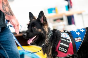 Wounded Army vet alleges harassment over her use of a service dog