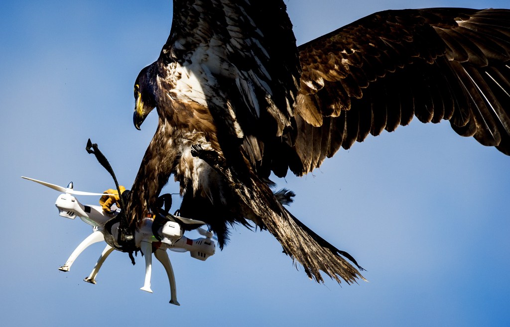 It’s a cat and mouse game as militaries fight the big threat of small drones