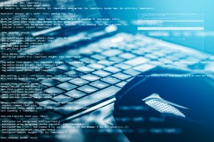 A civilian cybersecurity reserve corps is needed for the Pentagon and DHS, lawmakers from both parties say