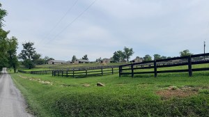 Army buys Virginia facility to stable The Old Guard’s caisson horses