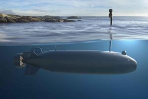 France taps Naval Group for armed underwater drone study