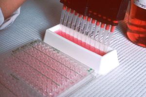 A DARPA program’s role in trying to end pandemics