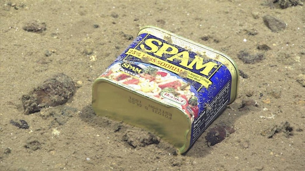 How the military made Spam an iconic American brand