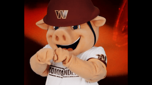Would new Washington Commanders mascot ‘Major Tuddy’ pass a tape test?