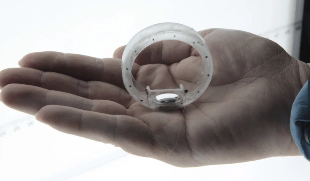 Researchers in China and Australia want to reinvent the wheel