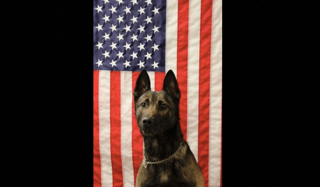 An Army Ranger dog was killed while saving soldiers’ lives in Afghanistan