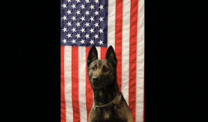 An Army Ranger dog was killed while saving soldiers’ lives in Afghanistan