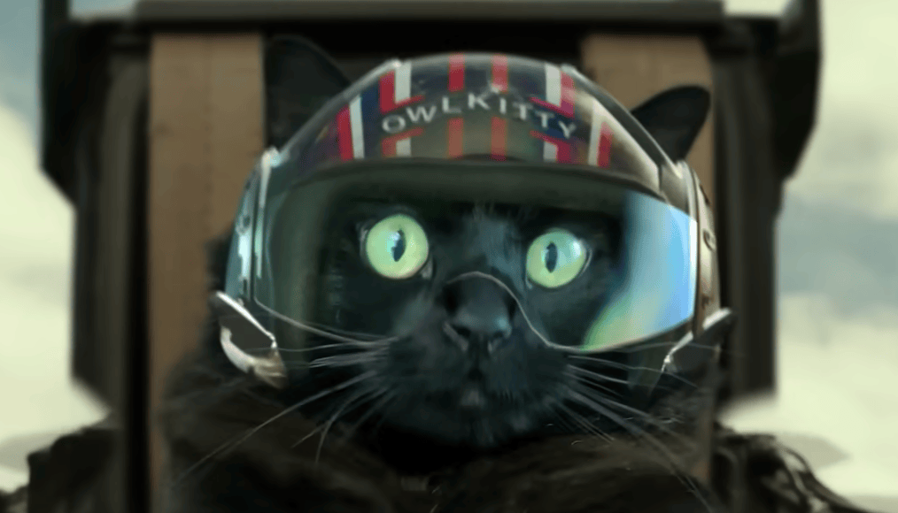 ‘Top Gun’ reimagined with a cat is purrrrfection