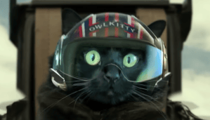 ‘Top Gun’ reimagined with a cat is purrrrfection