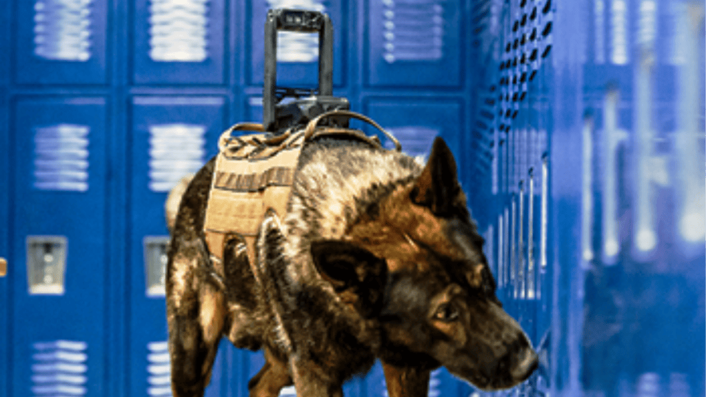 The Core K9 camera goes thermal