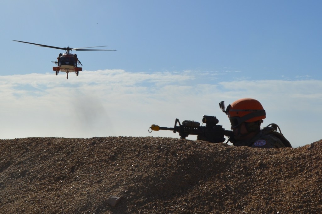 Sinai mission, crisis response forces and numerous outdated tasks potentially on chopping block
