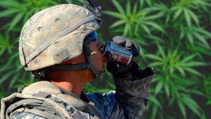 Can soldiers consume CBD energy drinks?