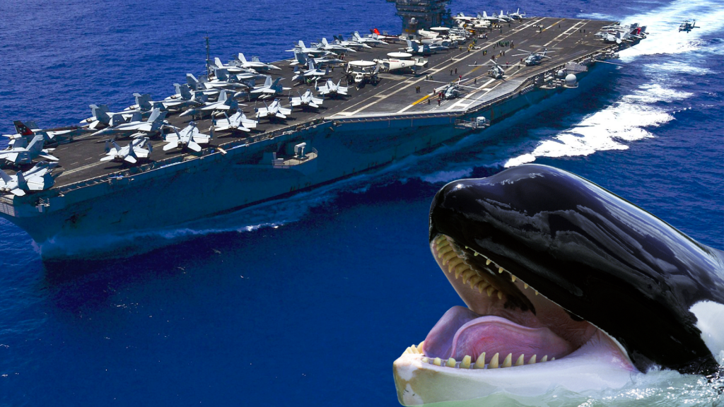 Gonna need a bigger boat: what the Navy does when whales go rogue