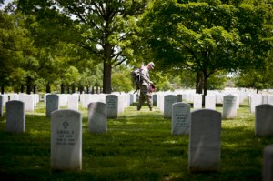 Flags In at Arlington