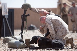This top military working dog is a Purple Heart recipient with nearly 100 Marine combat patrols under his collar