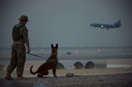 Five war dogs you’d want in your squad
