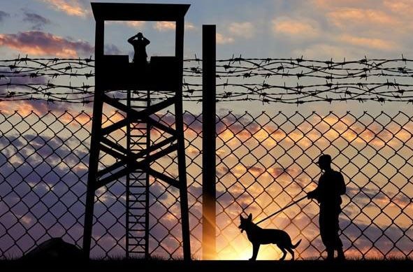 Caring for military working dogs after they finish their service