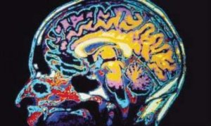 Texas university launching trauma research program with military