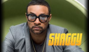 Singer and Marine vet Shaggy to perform for troops in Japan