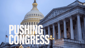 What issues are top priority for vet advocacy groups when Congress returns to session?