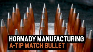 GearScout Down Lowe — Hornady A-TIP Match Bullet