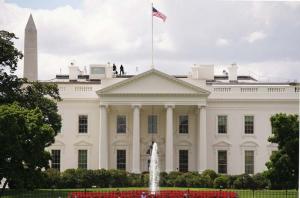 Senators criticize White House as cyber adviser is no-show