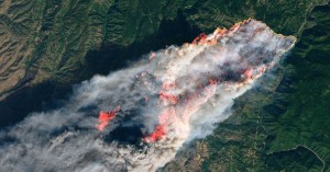 US Forest Service boss decries arrest of employee in planned burn